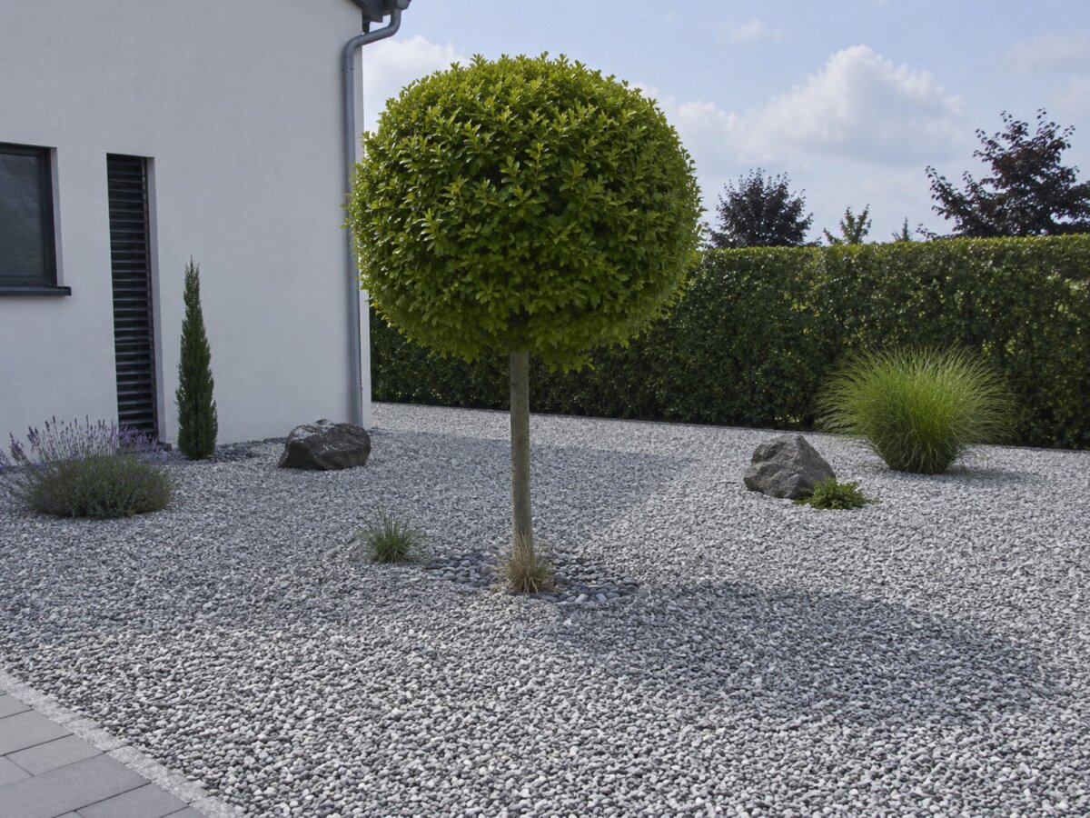 schottergarten