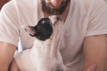 stocksnap animals 2607704