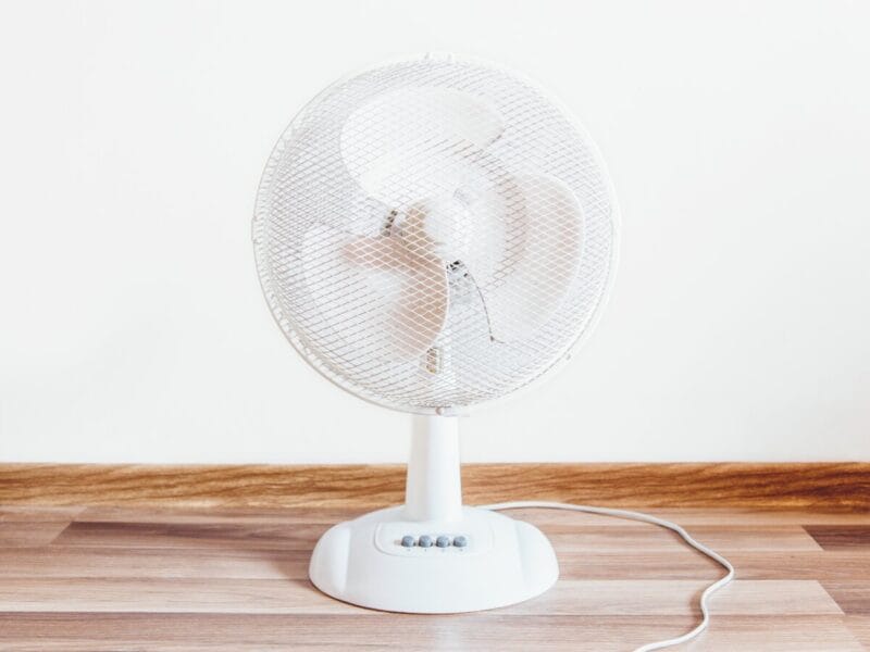 stocksnap white 926202