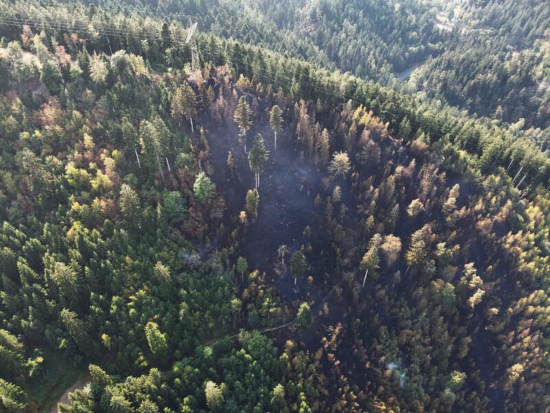 wald schramberg drohne