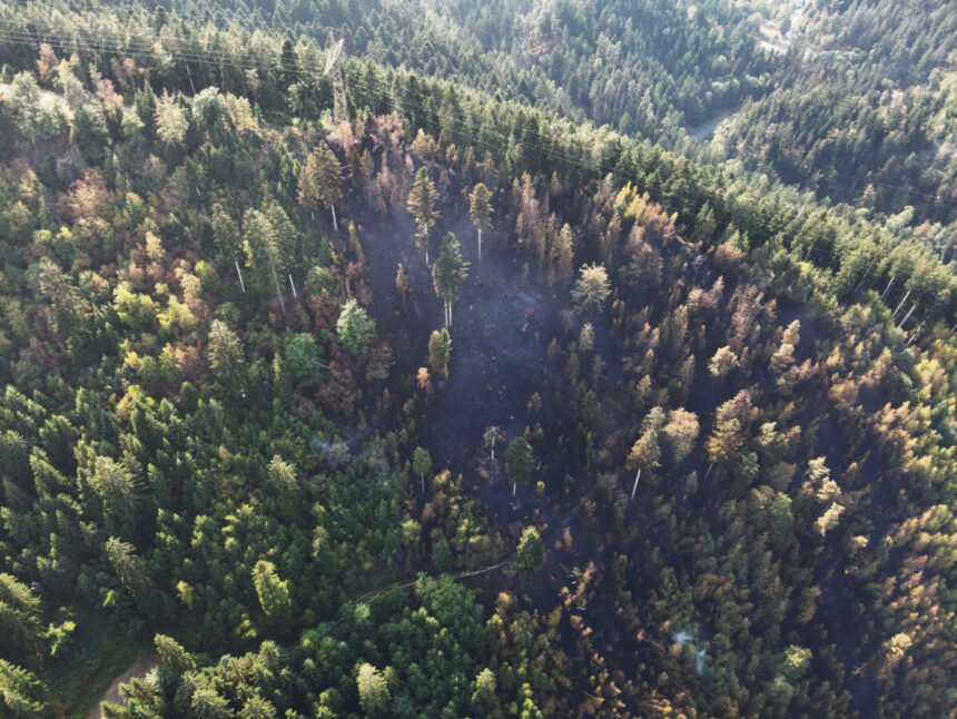 wald schramberg drohne