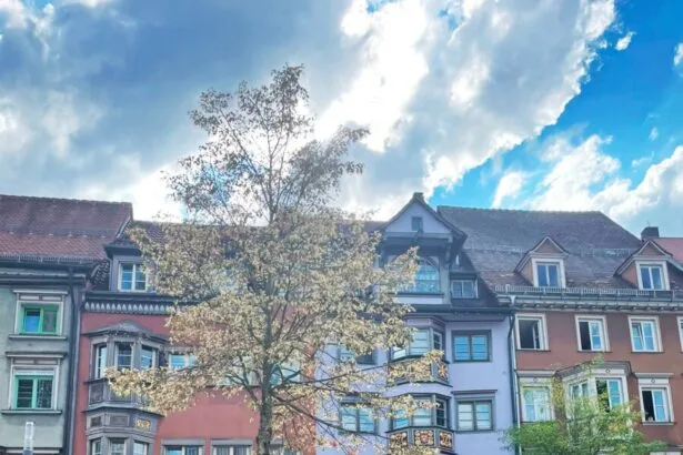 winterlinde rancho