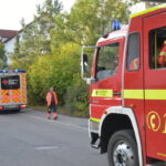 dsc 5196