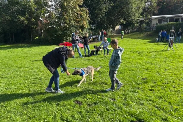 schnüffelhund img 0630