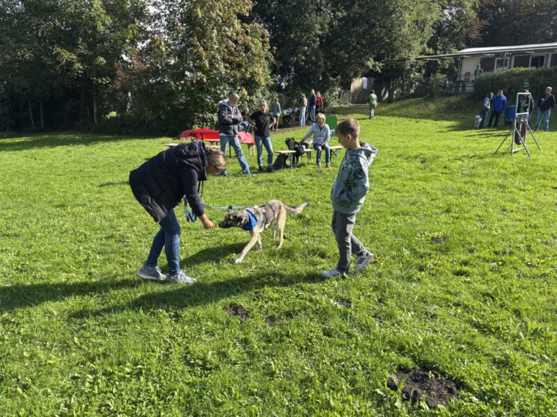 schnüffelhund img 0630