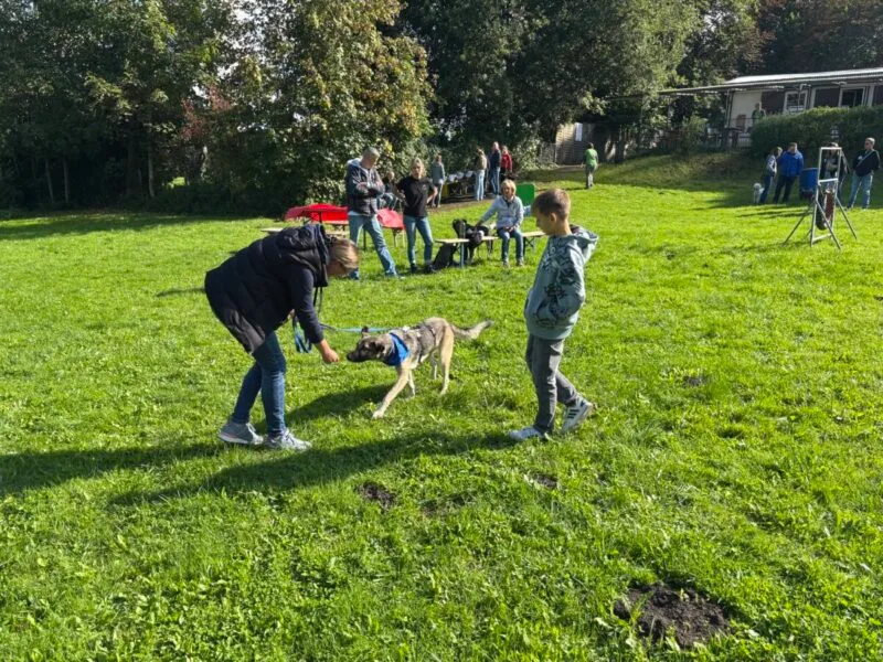 schnüffelhund img 0630