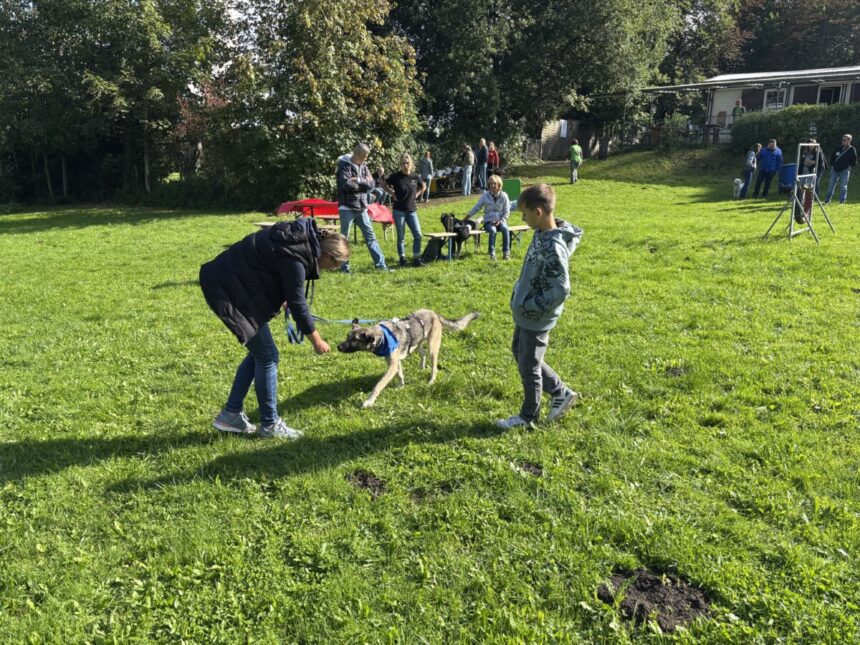 schnüffelhund img 0630