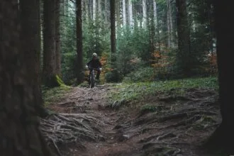 trail