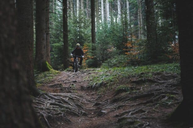 trail