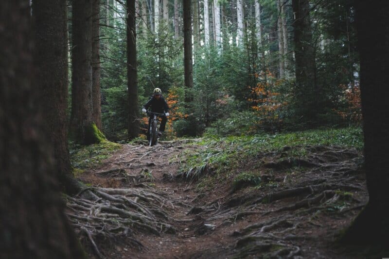 trail