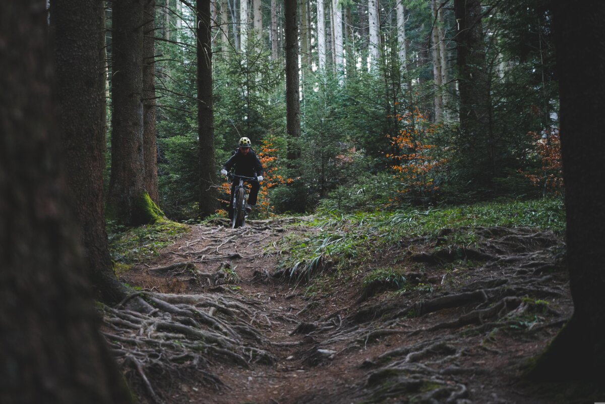 trail