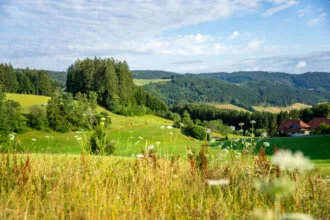 bawü scout ohne filter bearbeitet print 28