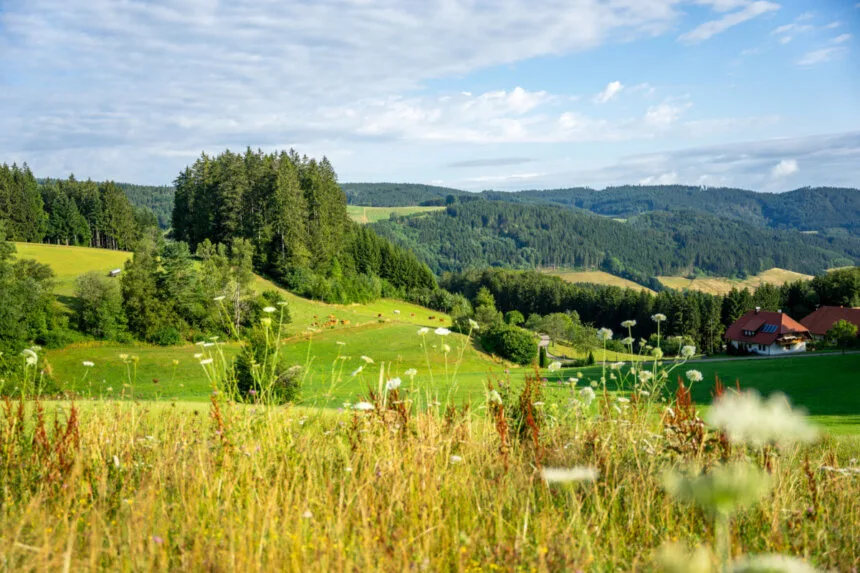 bawü scout ohne filter bearbeitet print 28