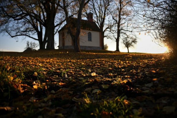 herbststimmung auf maria hochheim 11.2020 foto andreas linsenmann