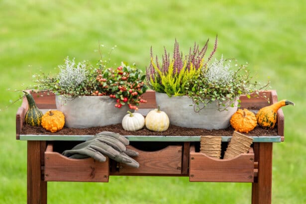 pm26 tgg gartenherbst b3m