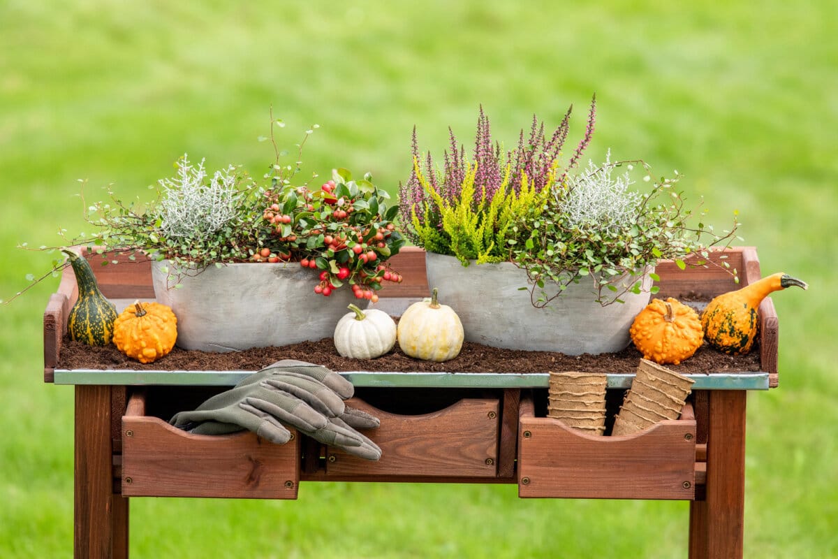 pm26 tgg gartenherbst b3m