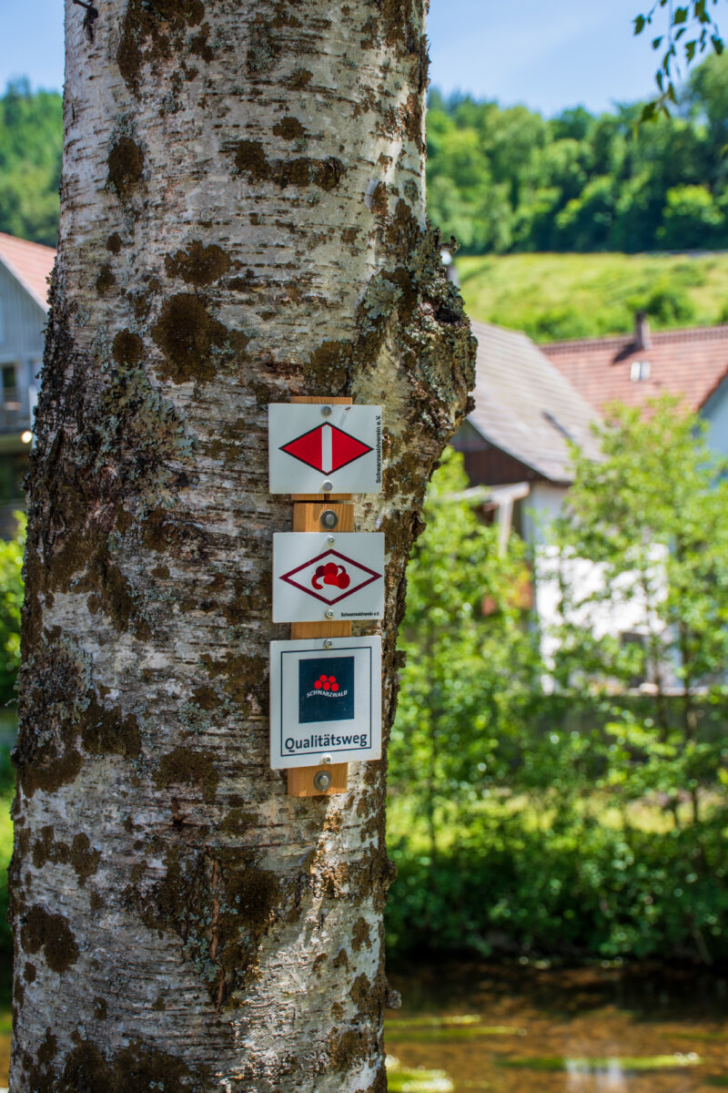 kinzigtalsteig in schiltach