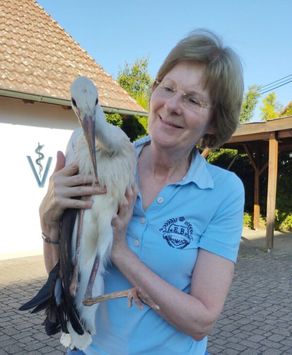 storch1000110126