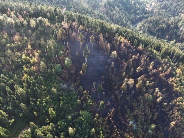 wald schramberg drohne