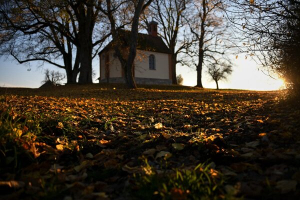 herbststimmung auf maria hochheim 11.2020 foto andreas linsenmann